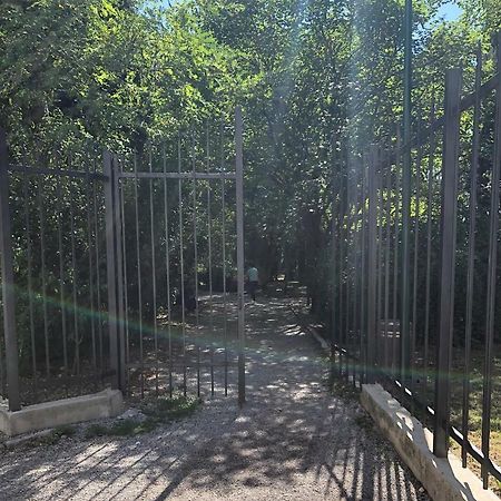 Cicki Apartments II Ποντγορίτσα Εξωτερικό φωτογραφία
